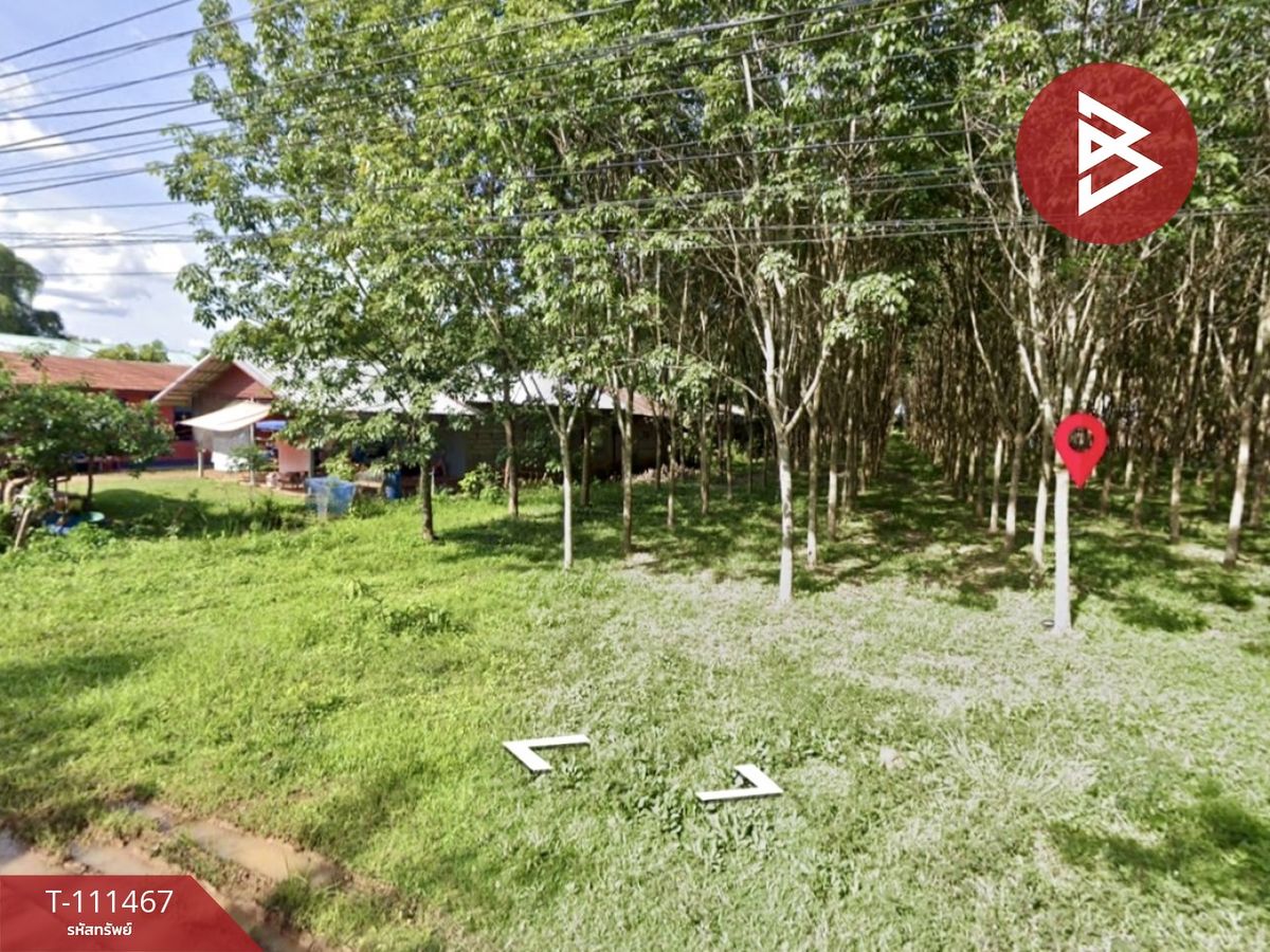 ขายที่ดินนครพนม : ขายที่ดิน เนื้อที่ 1 ไร่ 1 งาน 80 ตร.วา ธาตุพนม นครพนม