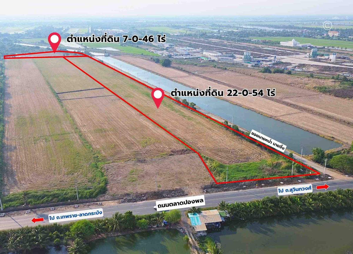 ขายที่ดินฉะเชิงเทรา : ขายที่ดิน 29-1-0 ไร่ แปลงมุม ติดถนน 2 ด้าน ถ.ตลาดปองพล อ.เมือง จ.ฉะเชิงเทรา