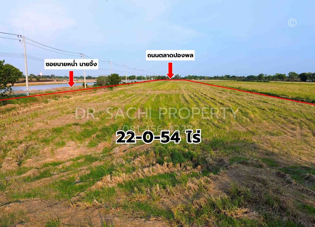 ขายที่ดินฉะเชิงเทรา : ขายที่ดินสวย ติดถนนตลาดปองพล 29-1-0 ไร่ แปลงมุม ติดถนน 2 ด้าน อ.เมือง จ.ฉะเชิงเทรา