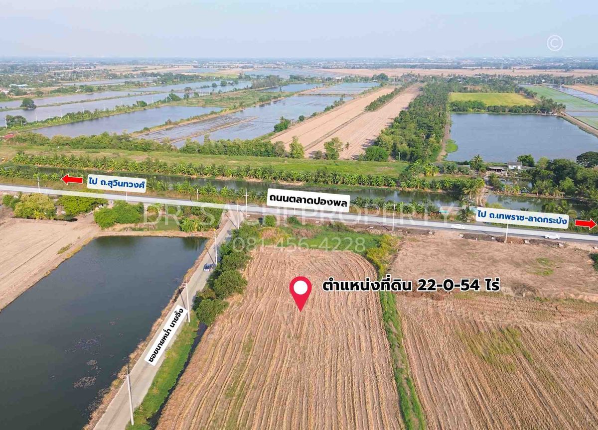 ขายที่ดินฉะเชิงเทรา : ขายที่ดินสวย ติดถนนตลาดปองพล 29-1-0 ไร่ แปลงมุม ติดถนน 2 ด้าน อ.เมือง จ.ฉะเชิงเทรา