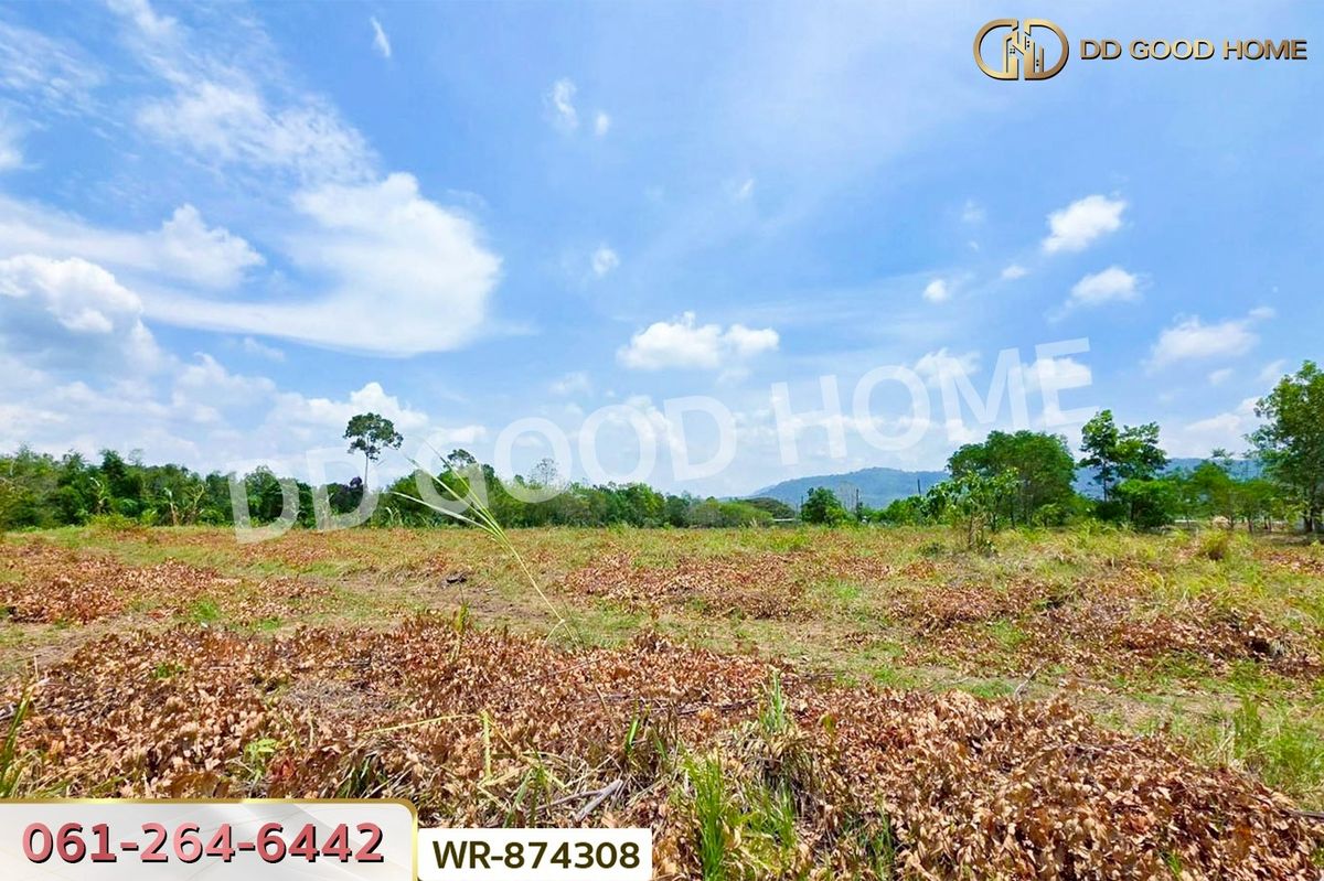 ขายที่ดินปราจีนบุรี : WR-874308 ที่ดินนาดี 27 ไร่ 389 ตร.ว. ปราจีนบุรี ใกล้อุทยานแห่งชาติทับลาน