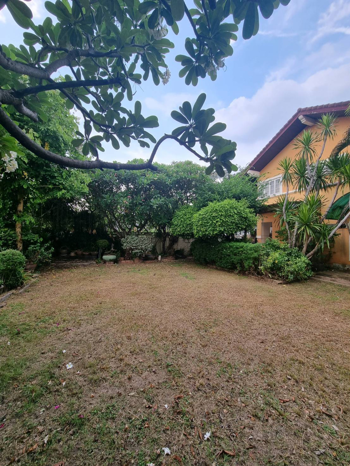 ขายบ้านลาดพร้าว101 แฮปปี้แลนด์ : ขาย บ้านเฟื่องฟ้า แฮปปี้แลนด์ ใกล้ MRT บางกะปิ