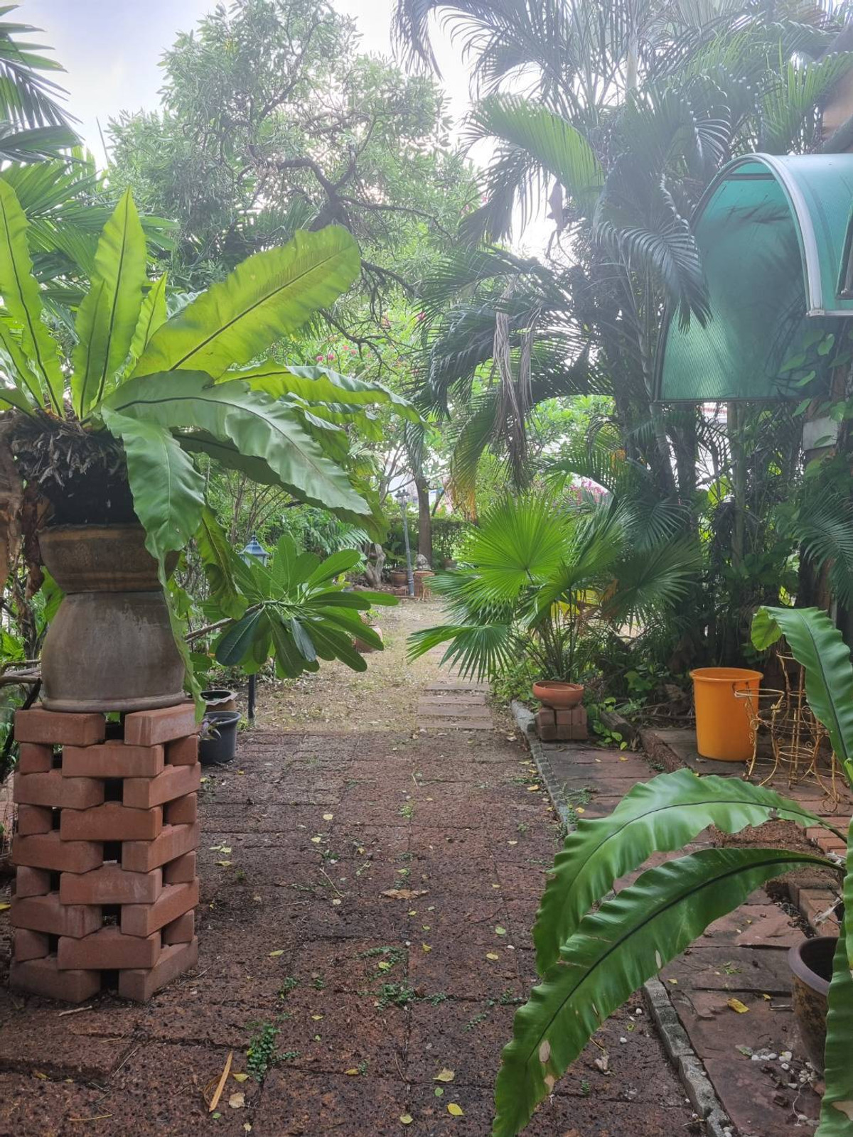 ขายบ้านลาดพร้าว101 แฮปปี้แลนด์ : ขาย บ้านเฟื่องฟ้า แฮปปี้แลนด์ ใกล้ MRT บางกะปิ