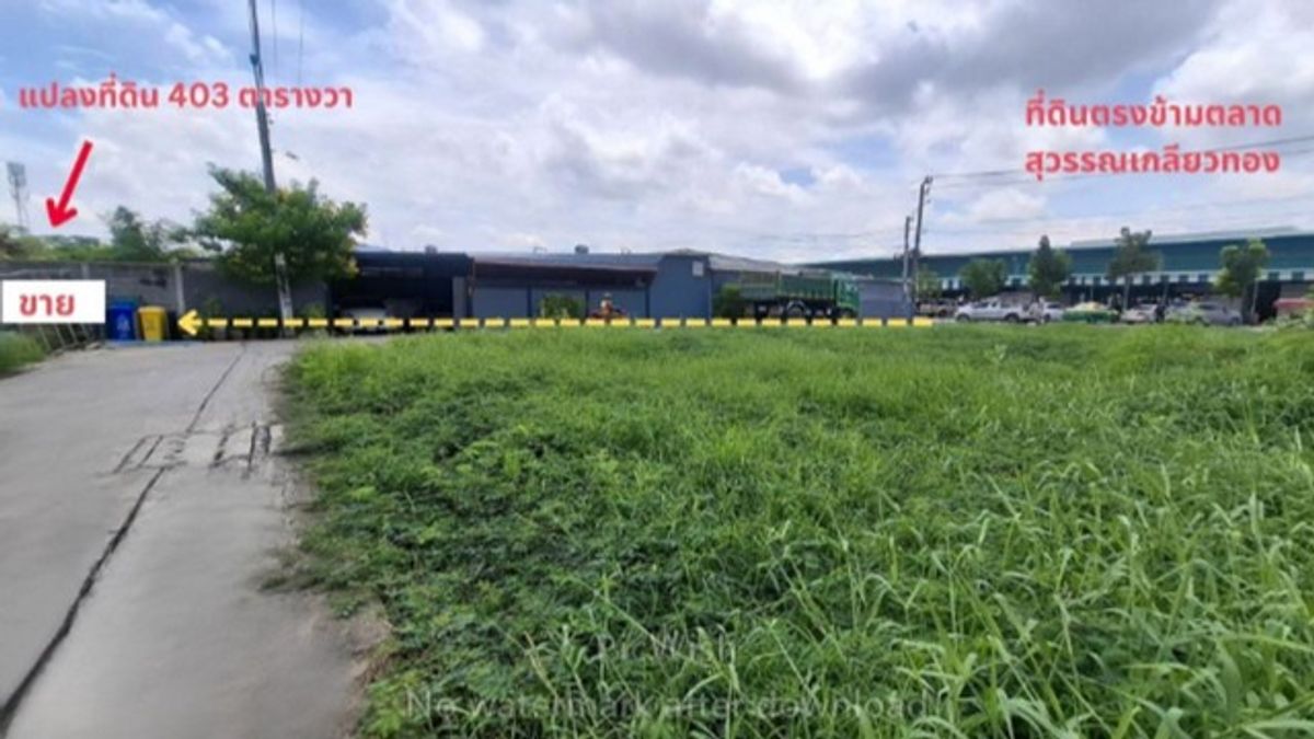 ขายที่ดินเลียบทางด่วนรามอินทรา : ขายที่ดิน 403 ตรว.ซ.หทัยราษฏร์ 31 เข้าซอยประมาณ 100 ม.ใกล้ตลาดสุวรรณเกลียวทอง,มีเซเว่น,CJ หน้าปากซอย มีนบุรี กรุงเทพ