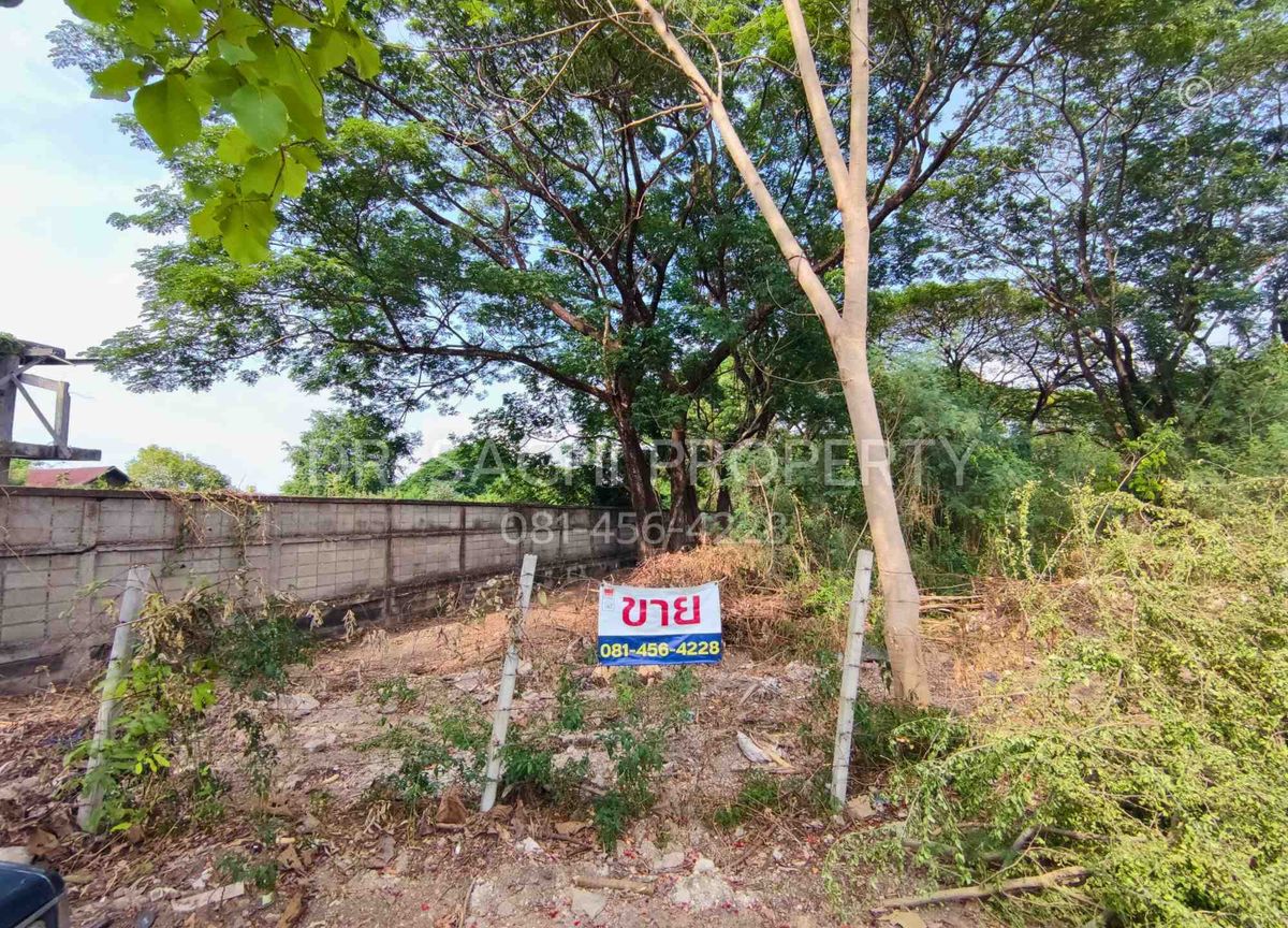 ขายที่ดินลำพูน : ขายที่ดินในตัวเมืองลำพูน 6-1-4.9 ไร่ ใกล้สถานีรถไฟ ลำพูน