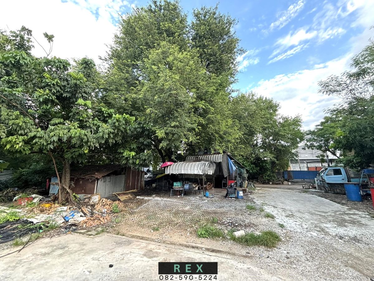 ขายที่ดินโชคชัย4 ลาดพร้าว71 : ขาย ที่ดินพร้อมสิ่งปลูกสร้าง โชคชัย 4 ลาดพร้าว71 นาคนิวาส ตารางวาละ 95,000 บาท 198 ตารางวา 