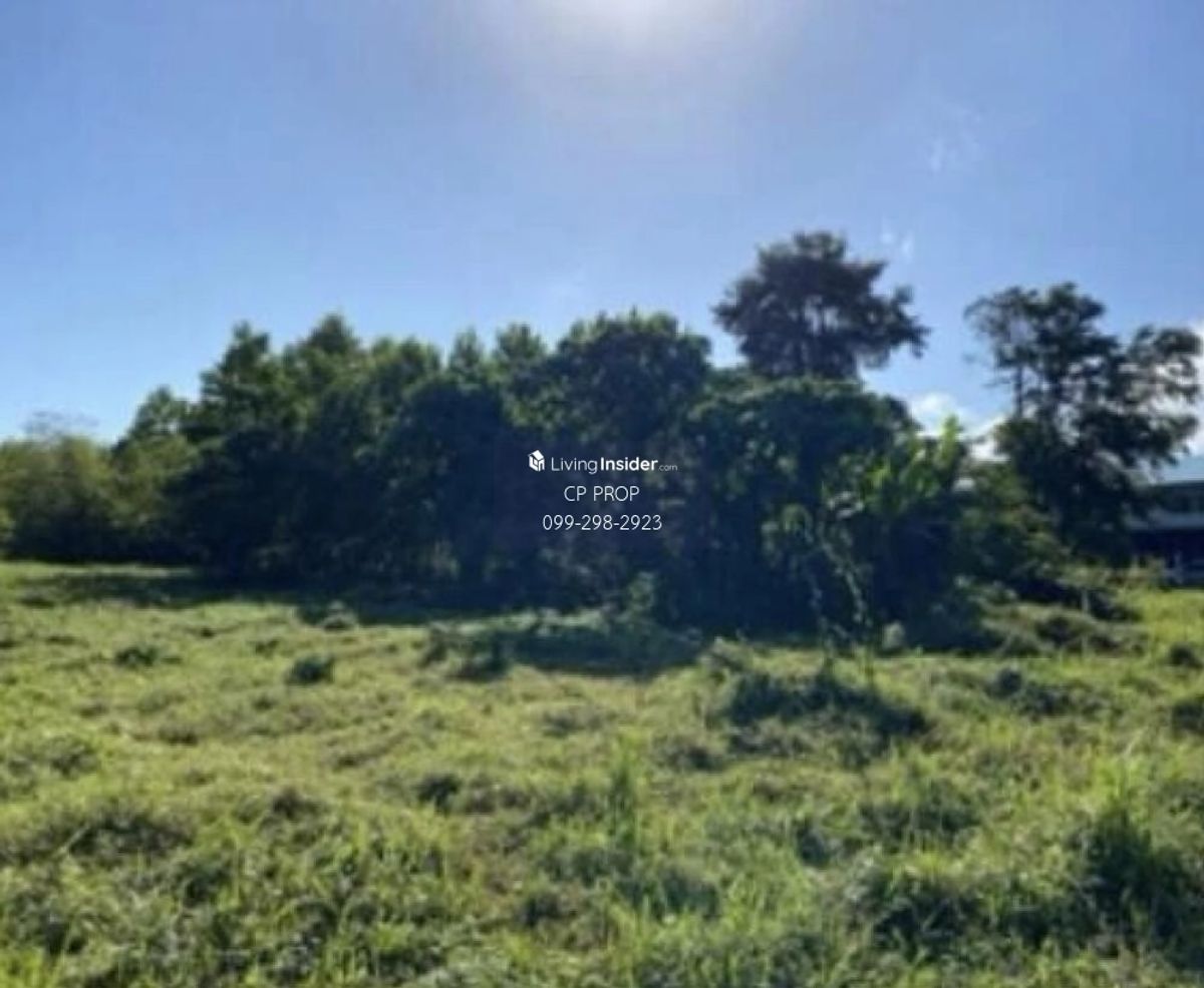 ขายที่ดินภูเก็ต : ยินดีรับ Co Agent📍 ขายที่ดินถมแล้ว ข้างโรงเรียนบ้านแหลมทราย จังหวัดภูเก็ต หน้ากว้างประมาณ 85 เมตร ลึก 185 เมตร เกือบ 10 ไร่ สนใจติดต่อ ป้าแหม่ม Tel/Line : 0992982923