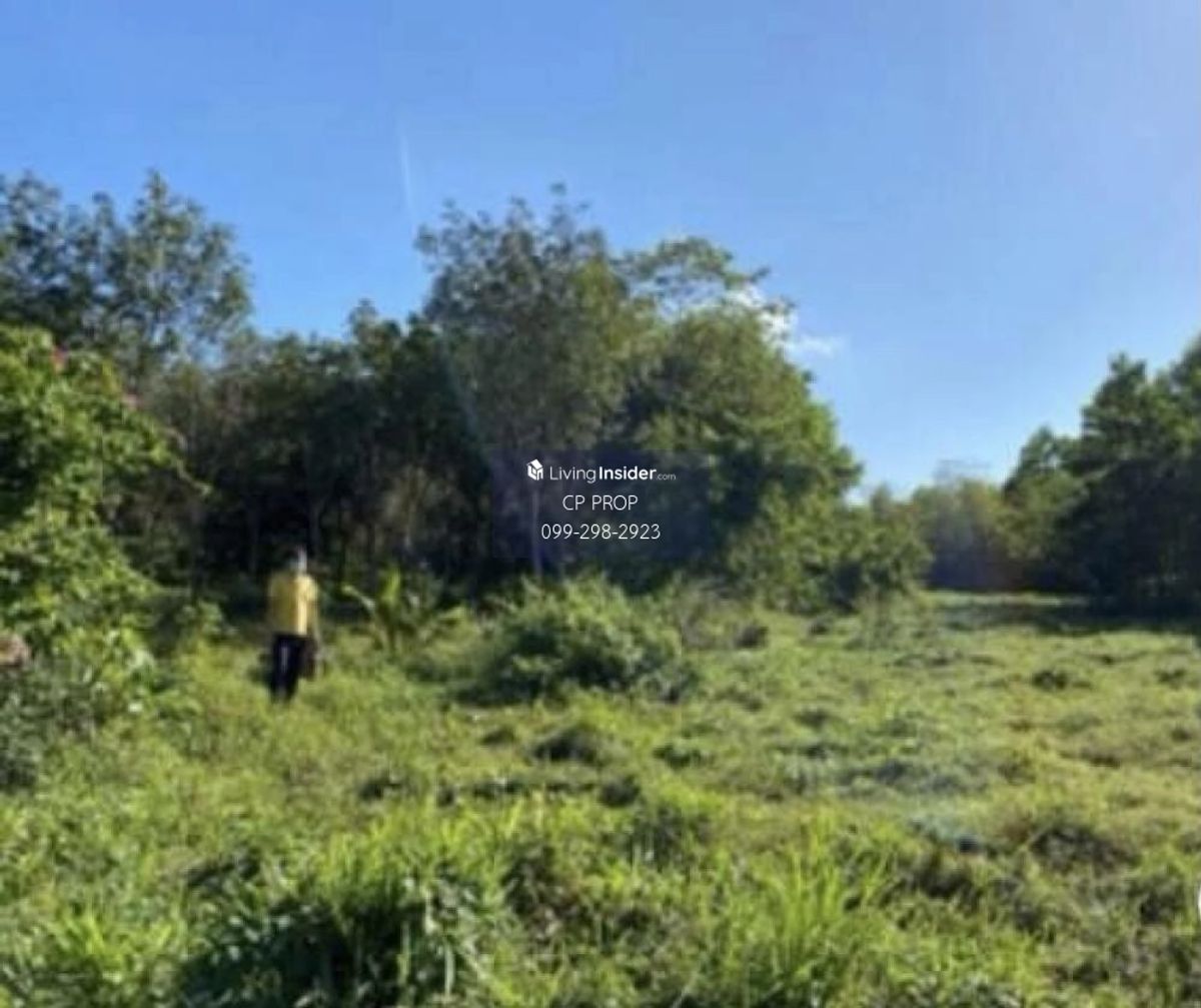 ขายที่ดินภูเก็ต : ยินดีรับ Co Agent📍 ขายที่ดินถมแล้ว ข้างโรงเรียนบ้านแหลมทราย จังหวัดภูเก็ต หน้ากว้างประมาณ 85 เมตร ลึก 185 เมตร เกือบ 10 ไร่ สนใจติดต่อ ป้าแหม่ม Tel/Line : 0992982923