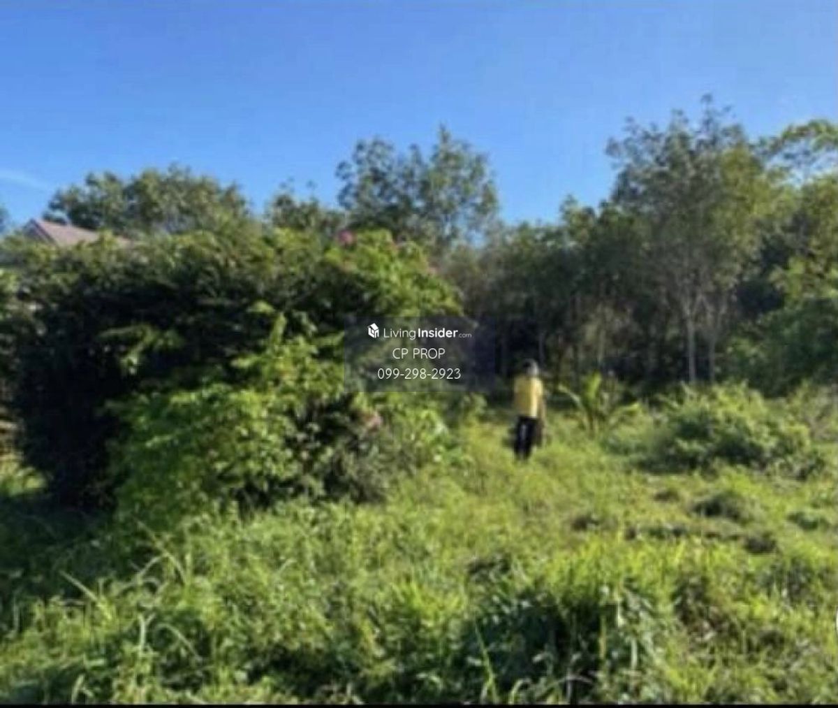 ขายที่ดินภูเก็ต : ยินดีรับ Co Agent📍 ขายที่ดินถมแล้ว ข้างโรงเรียนบ้านแหลมทราย จังหวัดภูเก็ต หน้ากว้างประมาณ 85 เมตร ลึก 185 เมตร เกือบ 10 ไร่ สนใจติดต่อ ป้าแหม่ม Tel/Line : 0992982923