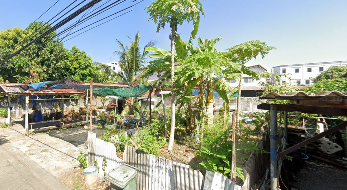 ขายที่ดินนนทบุรี บางใหญ่ บางบัวทอง : ขายที่ดิน ถ.สนามบินน้ำ ในซอยนนทบุรี27แยก2