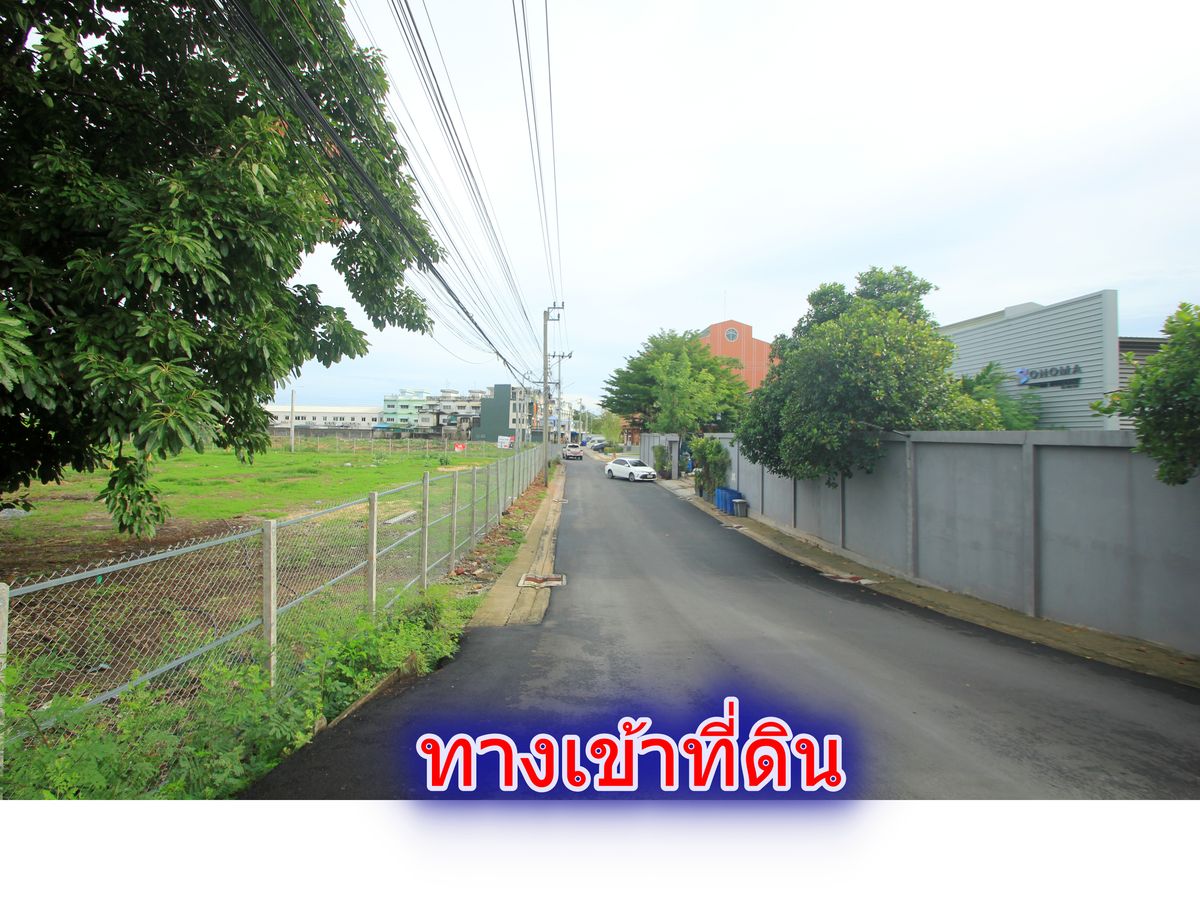 ขายที่ดินราษฎร์บูรณะ สุขสวัสดิ์ : ที่ดินพุทธบูชา40 สวนธนบุรีรมย์ เทคโนโลยีพระจอมเกล้าธนบุรี ที่ดินถมแล้ว ที่สร้างบ้าน สำนักงาน ทำเลดี เดินทางสะดวก 315.8 ตารางวา ราคาพิเศษ