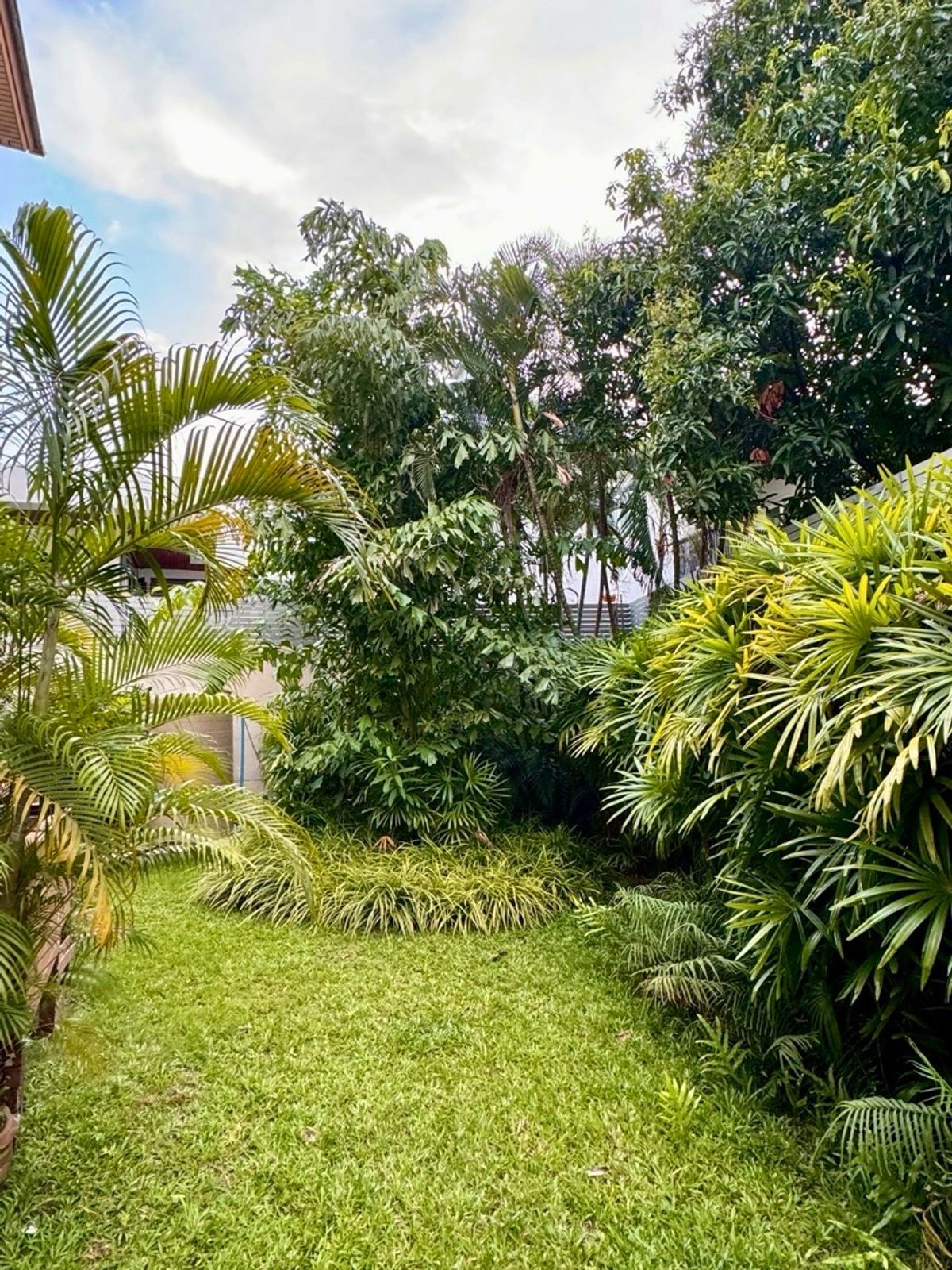 ให้เช่าบ้านอ่อนนุช อุดมสุข : เช่าบ้านหรู Baan Sansiri สุขุมวิท 67 แบบบ้าน Type B 4 นอน 5 น้ำ พื้นที่ 490 ตรม ทำเลทอง เดินทางสะดวก 