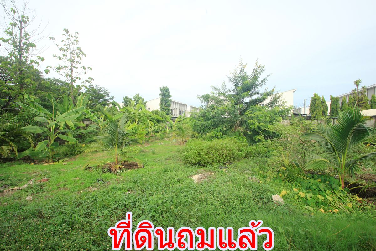 ขายที่ดินราษฎร์บูรณะ สุขสวัสดิ์ : ที่ดินพุทธบูชา40 สวนธนบุรีรมย์ เทคโนโลยีพระจอมเกล้าธนบุรี ที่ดินถมแล้ว ที่สร้างบ้าน สำนักงาน ทำเลดี เดินทางสะดวก 315.8 ตารางวา ราคาพิเศษ