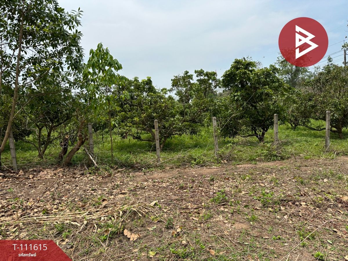ขายที่ดินน่าน : ขายที่ดิน เนื้อที่ 6 ไร่ 67.4 ตร.วา ปัว น่าน