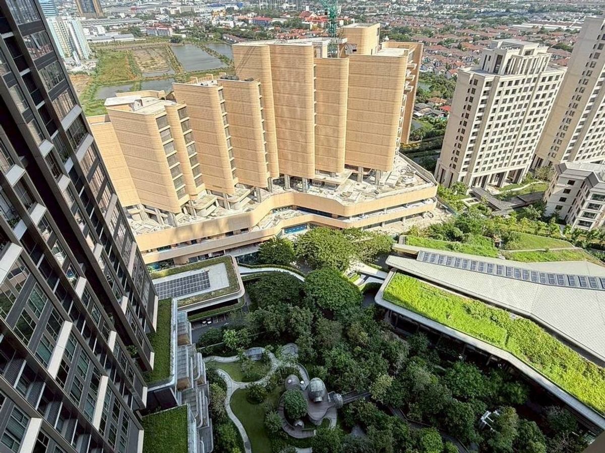 For RentCondoBangna, Bearing, Lasalle : For Rent Whizdom The Forestias (New Room) Unit 181/590