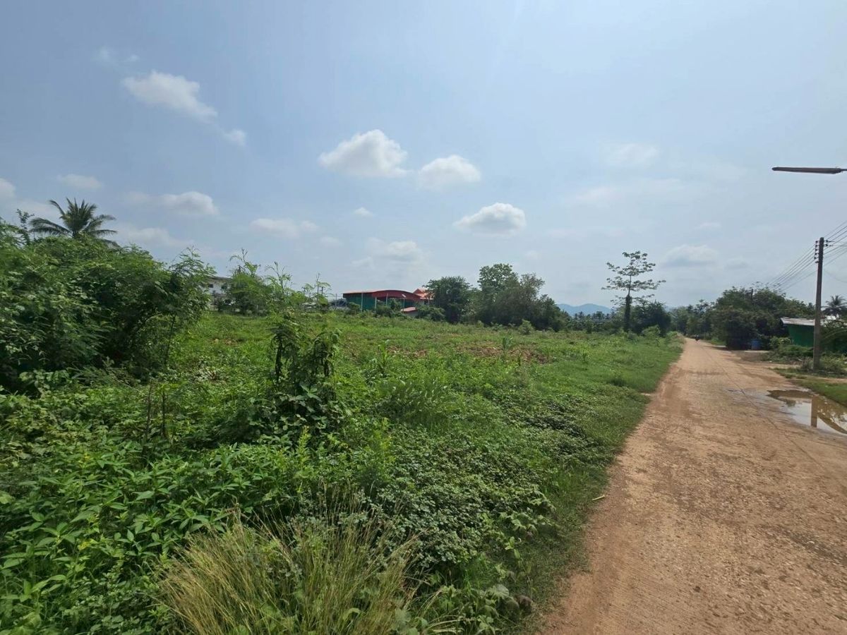 ขายที่ดินเพชรบูรณ์ : ที่ดินเปล่า ทำเลดี ต.น้ำร้อน อ.วิเชียรบุรี จ.เพชรบุรณ์