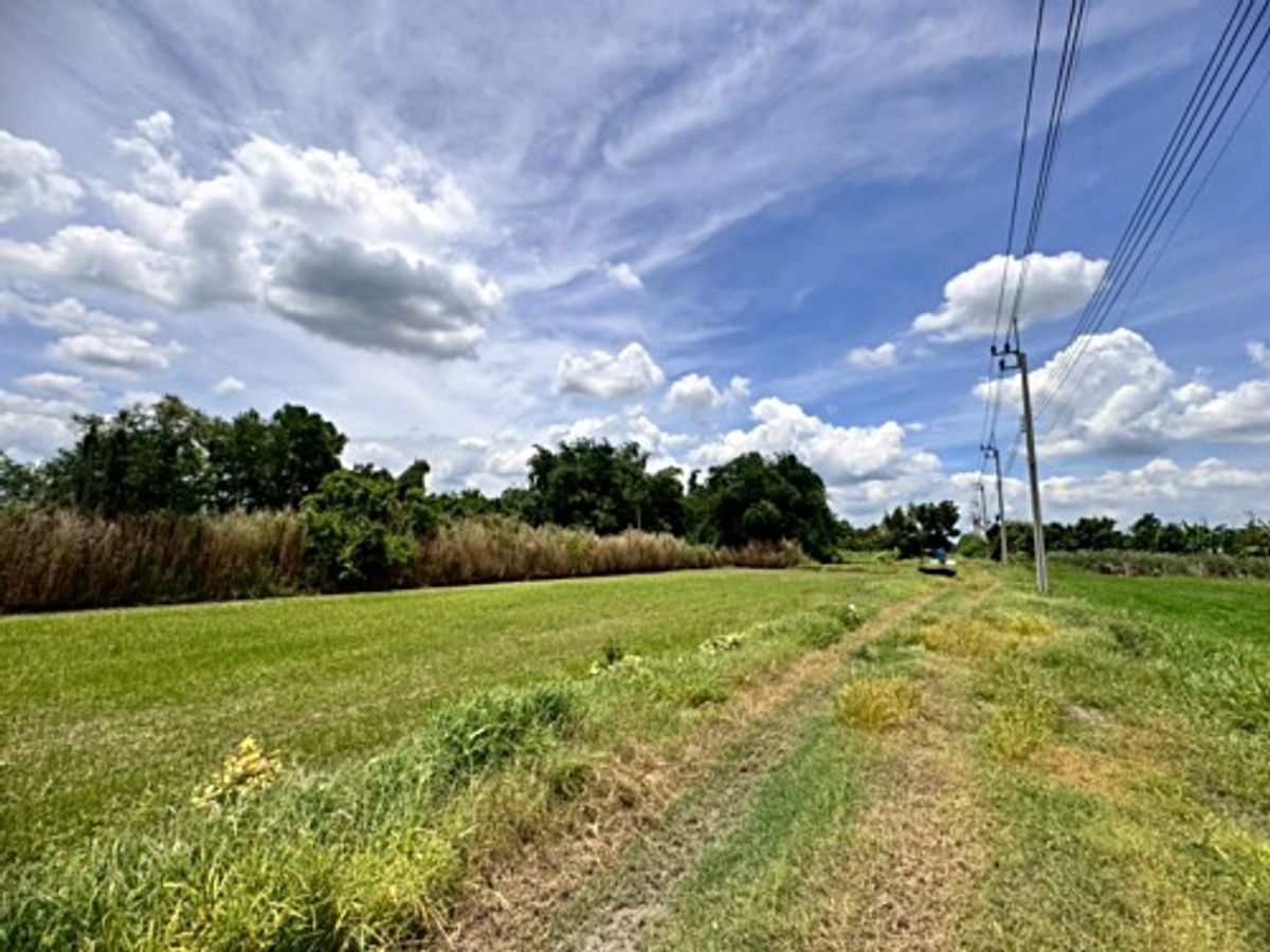 For SaleLandMin Buri, Romklao : Land for sale, Nong Chok, Pracha Samran Road (Soi Ruam Phatthana) ** only 4,500/square wah ** (N.1717)