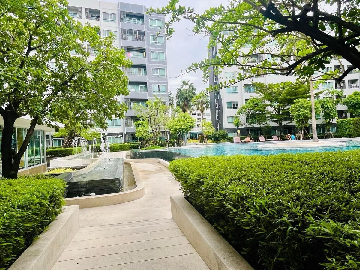 ขายคอนโดอ่อนนุช อุดมสุข : 🚩ขาย Elio Del Ray ‼️ ห้องเดียวในโครงการขนาด 26 ตารางเมตร วิวสระว่ายน้ำ |600 เมตร BTS ปุณ สายสีเขียว