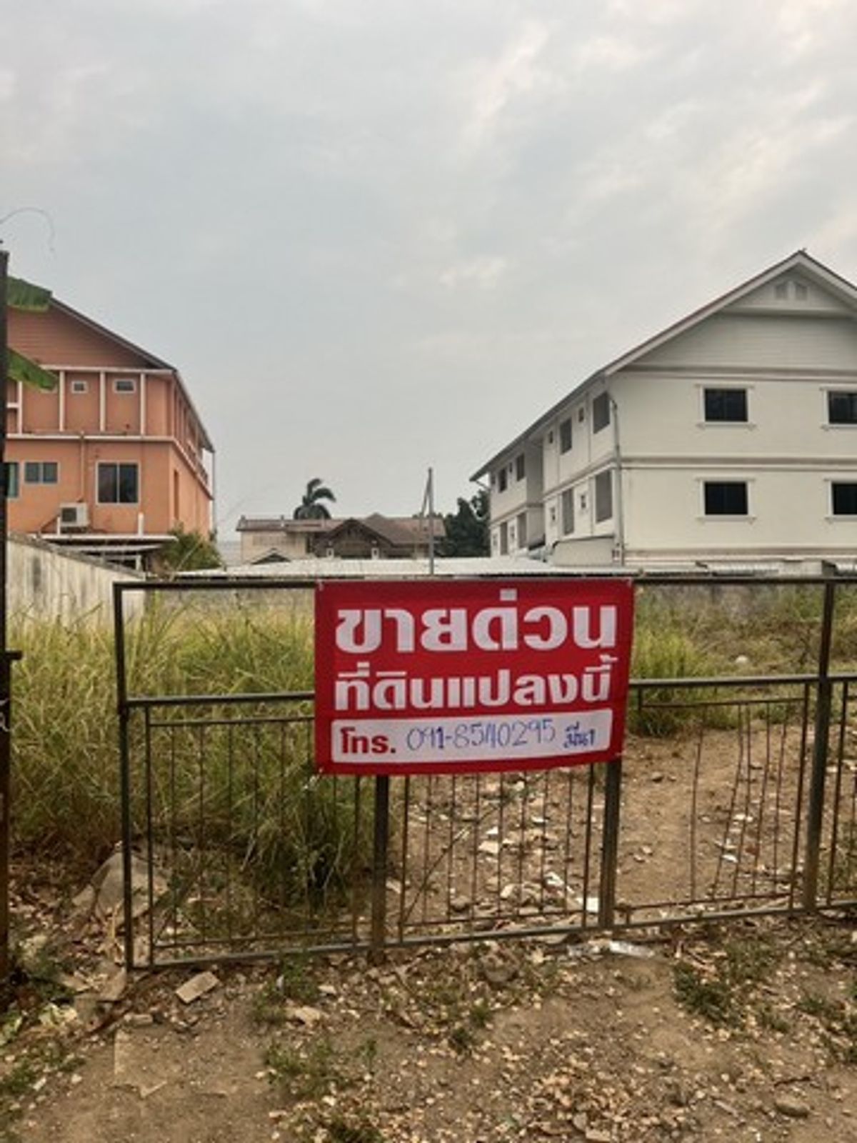 ขายที่ดินเชียงใหม่ : [ขาย] ที่ดิน 2 แปลงติดกัน | 78 + 71 ตร.ว. | หน้าวิทยาลัยนาฏศิลป์ | ถ.สุริยวงศ์ | ตร.ว.ละ 36,000 บาท ลดราคาพิเศษ! จากเดิม 45,000 บาท/ตร.ว. เหลือเพียง 36,000 บาท/ตร.ว.