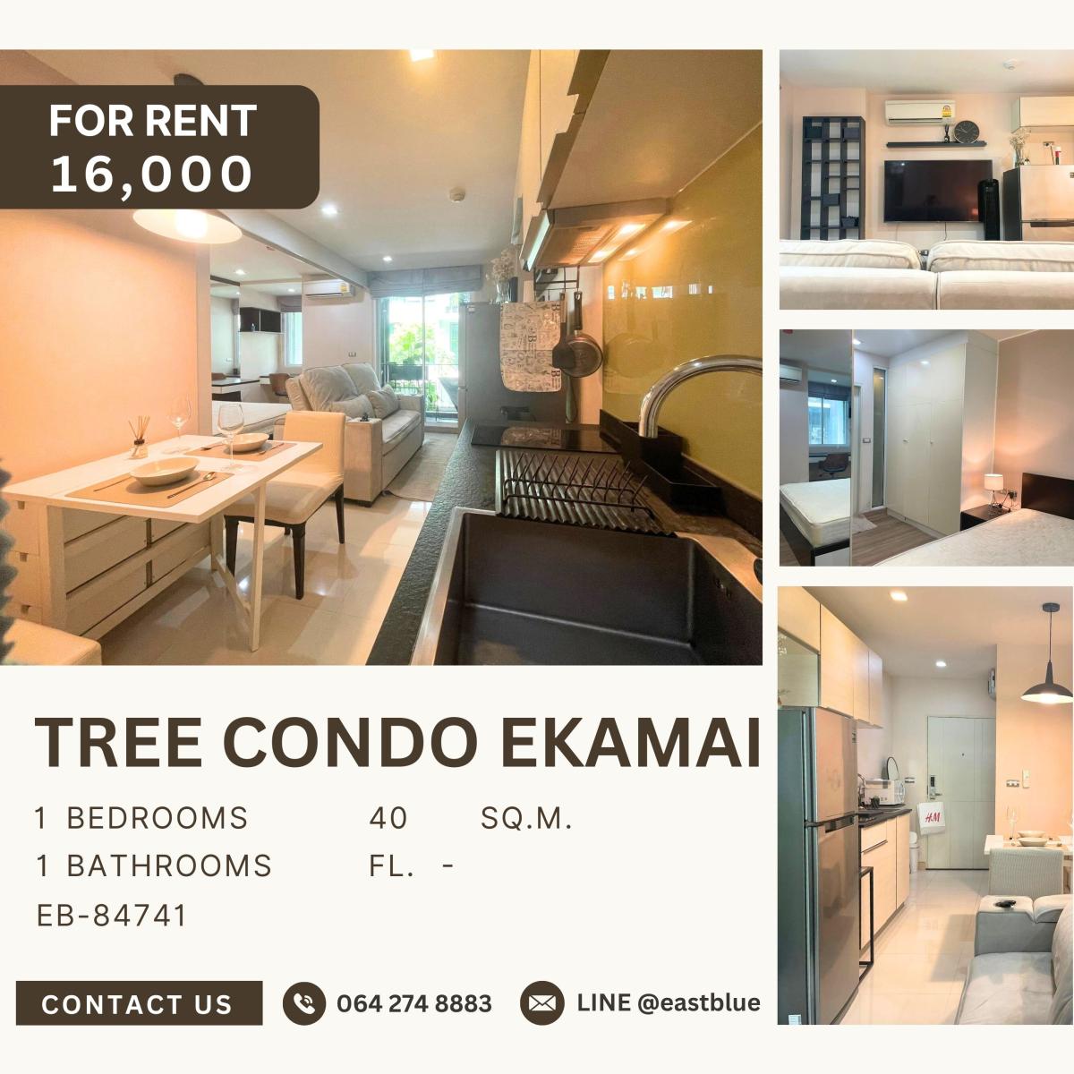 ให้เช่าคอนโดสุขุมวิท อโศก ทองหล่อ : Tree Condo Ekamai, 1 bed, 16000 per month