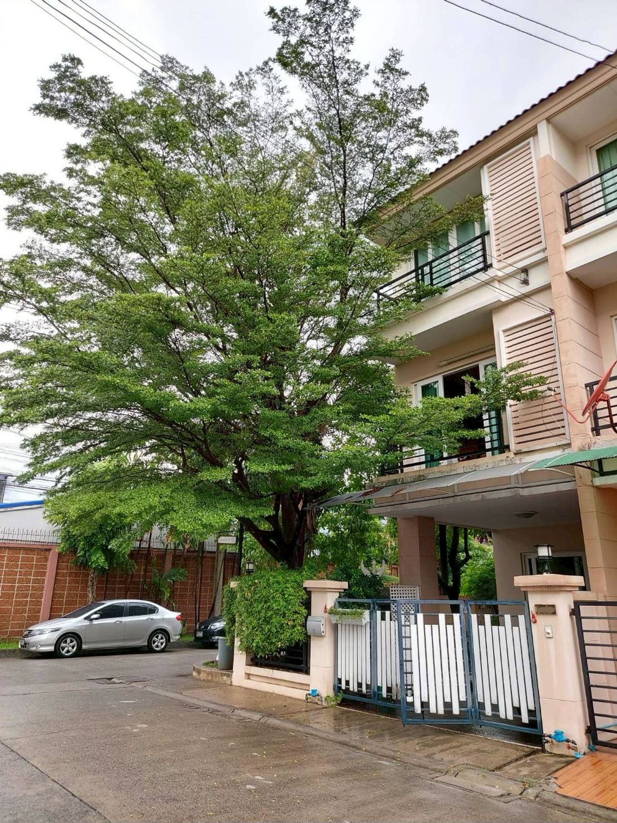 ให้เช่าทาวน์โฮมเกษตร นวมินทร์ ลาดปลาเค้า : คาซ่าซิตี้ CASA City นวลจันทร์2 เกษตรนวมินทร์