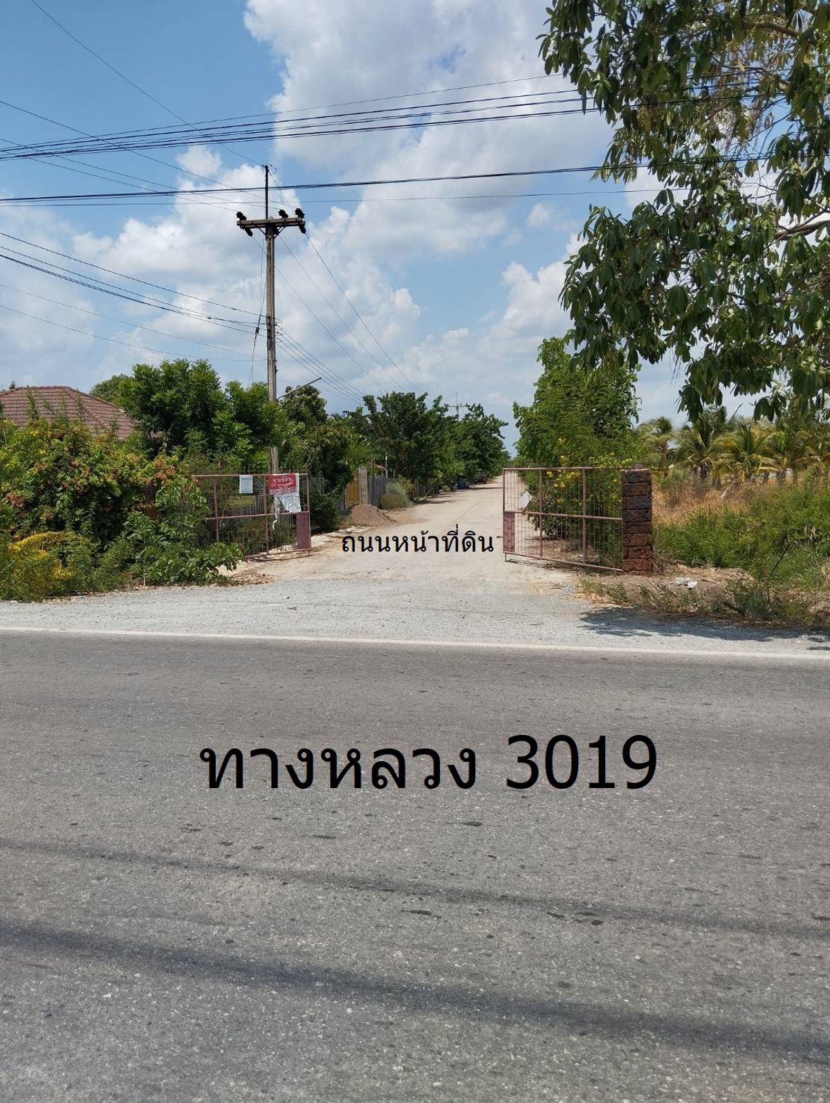 ขายที่ดินนครปฐม : ขาย ที่ดินเปล่า 1 ไร่ 86 ตร.วา ต.ไผ่หูช้าง อ.บางเลน จ.นครปฐม