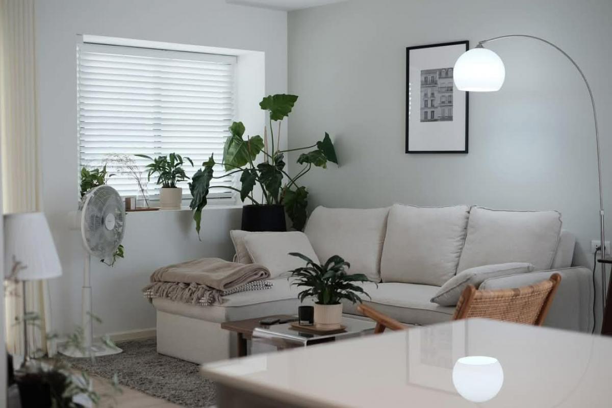 ให้เช่าบ้านบางนา แบริ่ง ลาซาล : 🐱🐶Pet Friendly House in Srinakarin-Bangna