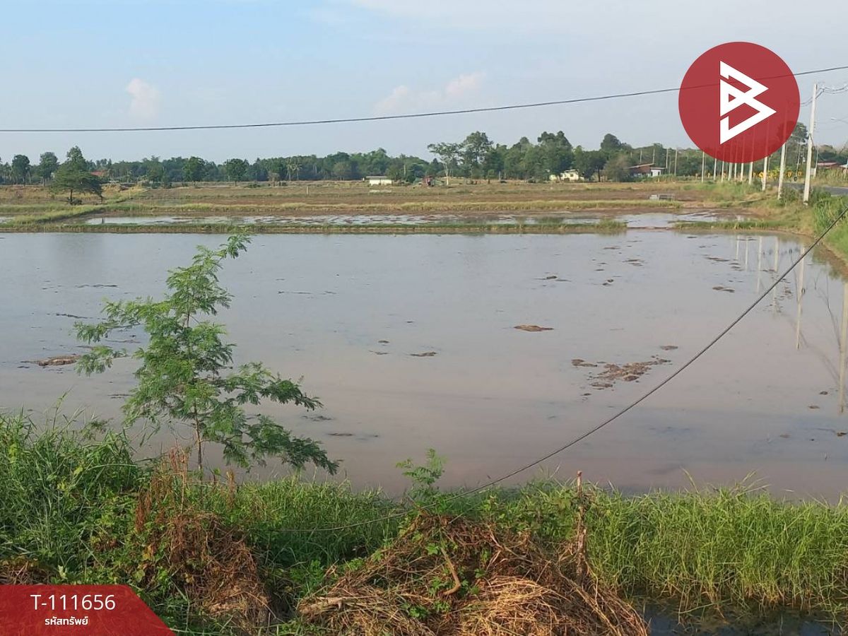 ขายที่ดินพิจิตร : ขายที่ดิน เนื้อที่ 12 ไร่ 2 งาน 34.6 ตร.วา ฆะมัง พิจิตร