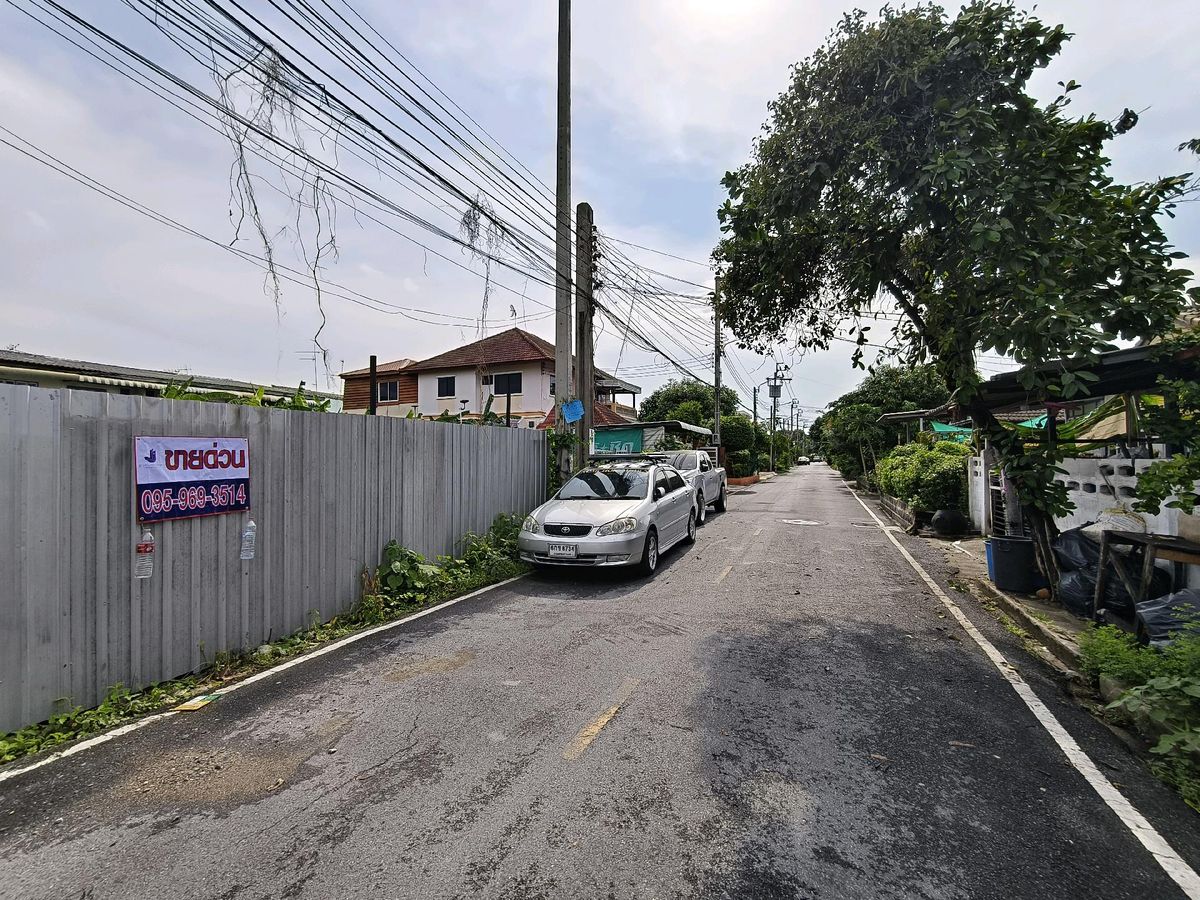 For SaleLandNonthaburi, Bang Yai, Bangbuathong : K1641 Land for sale Bua Thong Village 1