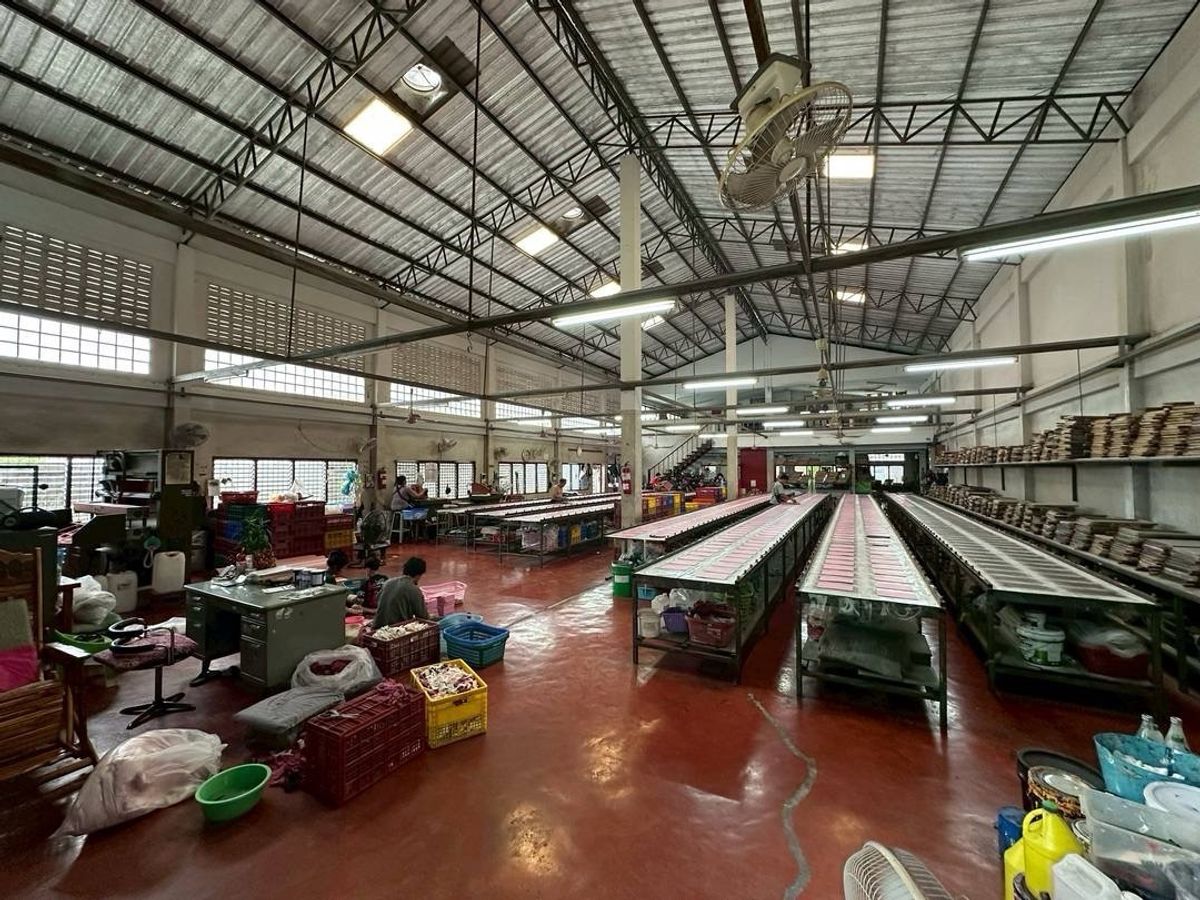 For SaleFactoryPinklao, Charansanitwong : Factory for sale with land (Bang Wak 57) 
 Cheap 🔥