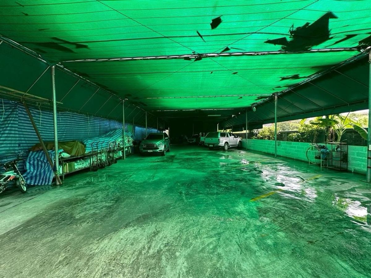 ขายบ้านบางแค เพชรเกษม : ขายบ้านที่ดิน บางแวก 57  
ที่ดินเปล่า ถมที่ลานปูน เรียบร้อย 
