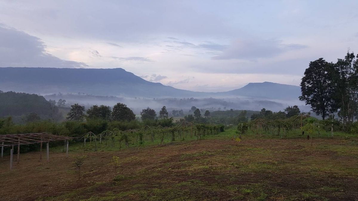 ขายที่ดินเลย : 1)ขายที่ดิน อ.ภูเรือ จ.เลย รวม60ไร่=35ลบ.
2)ขายที่ดิน อ.วัดเพลง จ.ราชบุรี รวม4-3-53ไร่@ 1ลบ./มือถือ0894542006