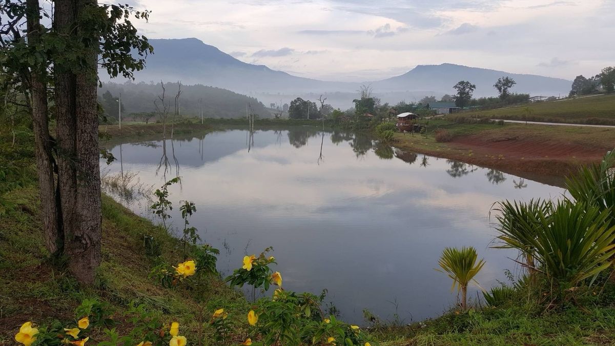 ขายที่ดินเลย : 1)ขายที่ดิน อ.ภูเรือ จ.เลย รวม60ไร่=35ลบ.
2)ขายที่ดิน อ.วัดเพลง จ.ราชบุรี รวม4-3-53ไร่@ 1ลบ./มือถือ0894542006