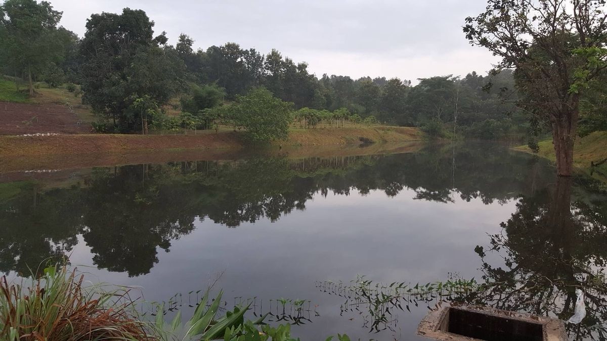 ขายที่ดินเลย : 1)ขายที่ดิน อ.ภูเรือ จ.เลย รวม60ไร่=35ลบ.
2)ขายที่ดิน อ.วัดเพลง จ.ราชบุรี รวม4-3-53ไร่@ 1ลบ./มือถือ0894542006