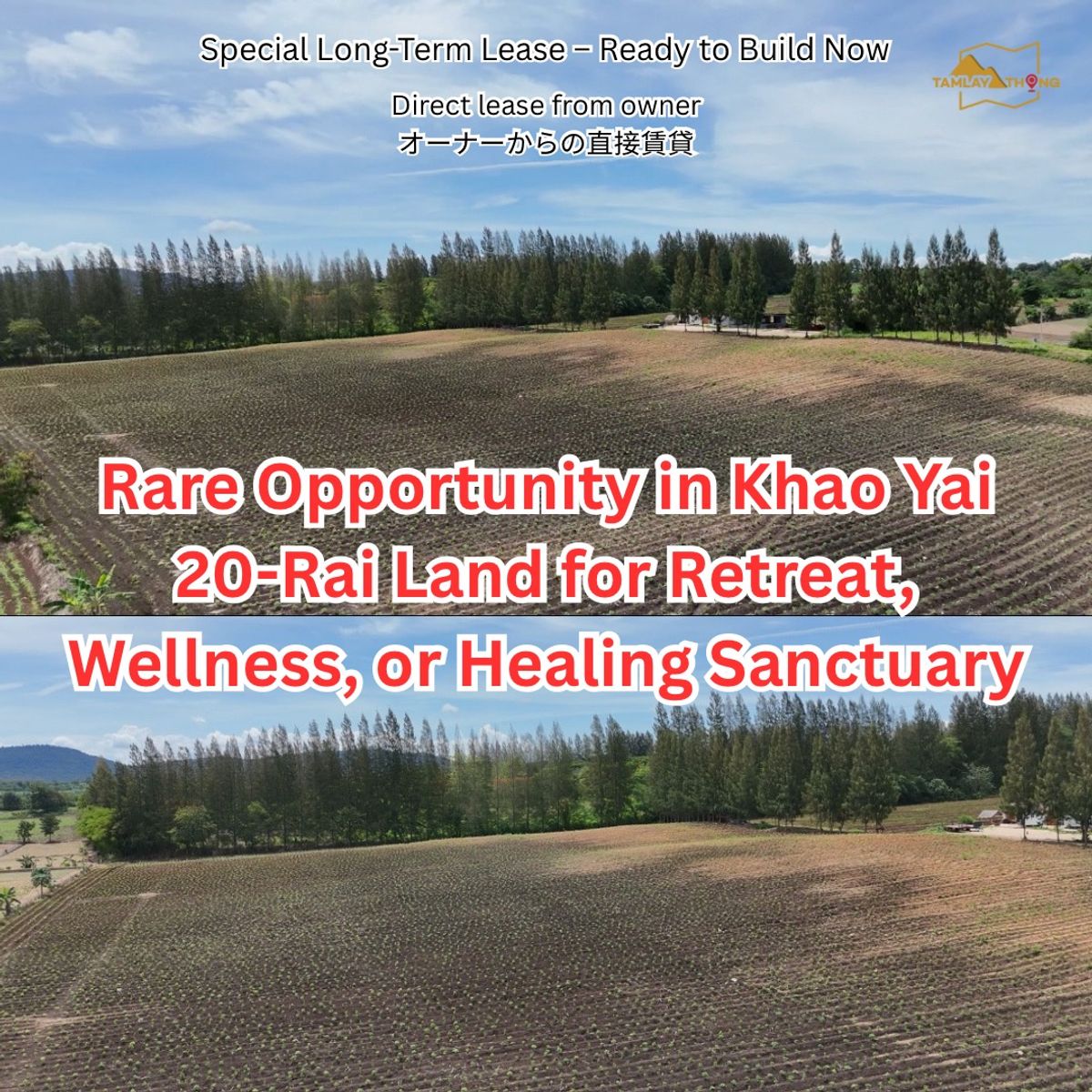 ให้เช่าที่ดินปากช่อง เขาใหญ่ : Build Your Retreat in Khao Yai’s Heartland
20-Rai Land for Lease – Wellness, Glamping, Healing, Eco Living
Limited-Time Offer – 90% Off Market Rent