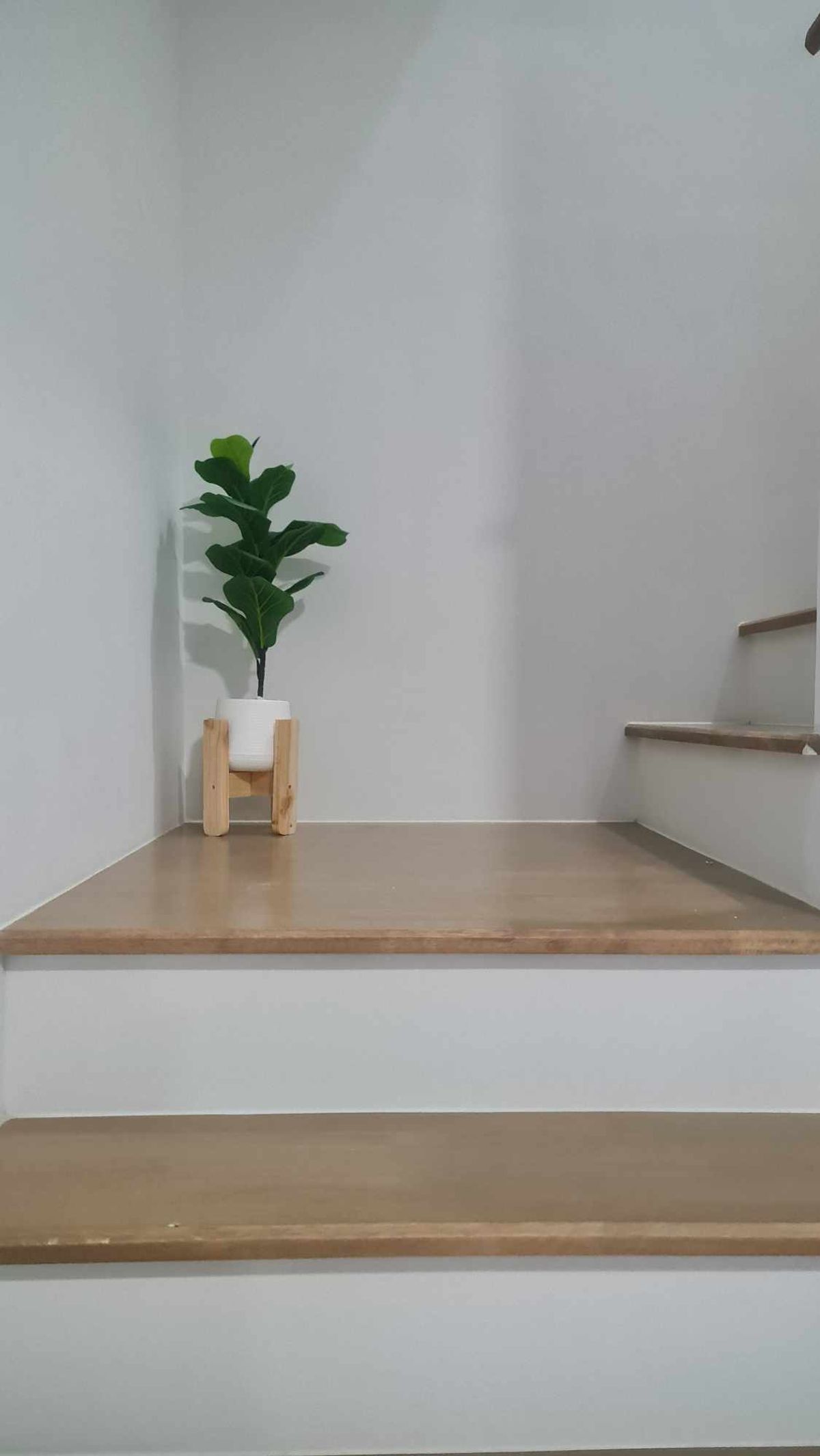 ให้เช่าทาวน์โฮมบางนา แบริ่ง ลาซาล : ให้เช่า ทาวน์โฮมใหม่ 2 ชั้น เลี้ยงสัตว์ได้ พลีโน่ สุขุมวิท-บางนา2 ใกล้เมกาบางนา 3 ห้องนอน 2ห้องน้ำ **TEL: 0863649888 / LINE: @751paggb