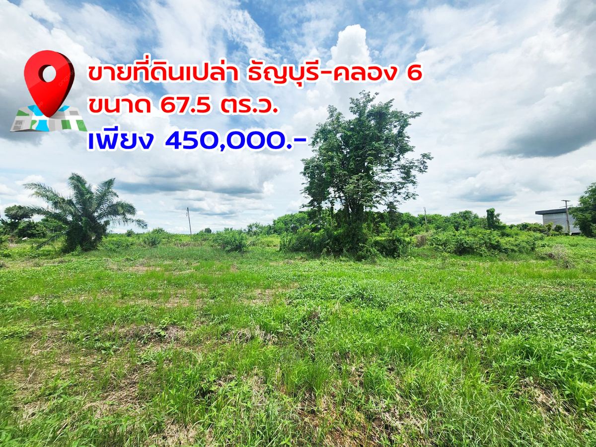 ขายที่ดินปทุมธานี รังสิต ธรรมศาสตร์ : ขายที่ดินคลอง 6 (จ.ปทุมธานี) ขนาด 67.5 ตารางวา ใกล้วัดมูลเหล็ก