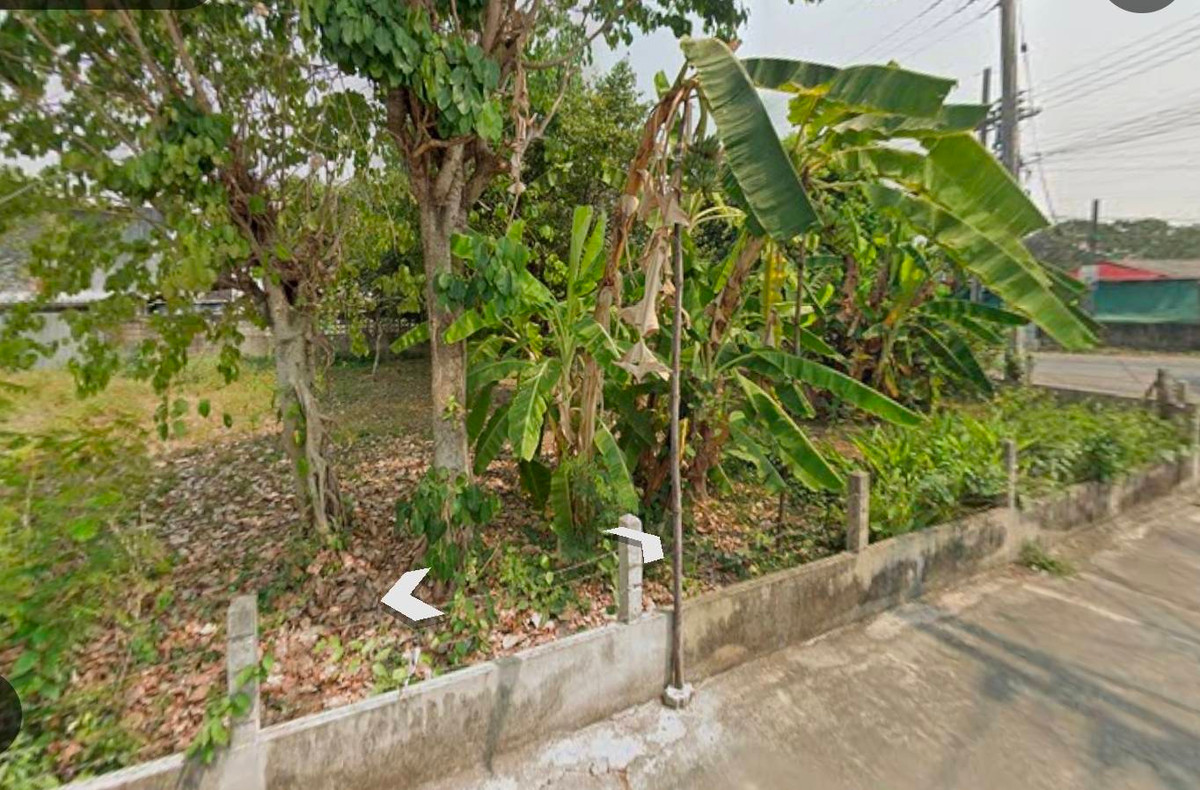 ขายที่ดินเชียงใหม่ : ที่ดินเปล่า ทำเลดี สันทรายน้อย 