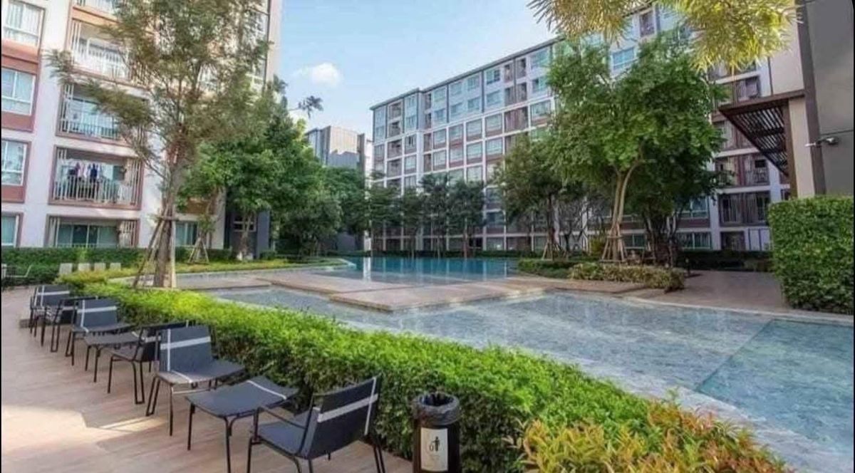 For RentCondoChiang Mai : For Rent: D Condo Ping, Chiang Mai – Studio Room with Pool View 🏢 "Fully Furnished & Ready to Move In!"