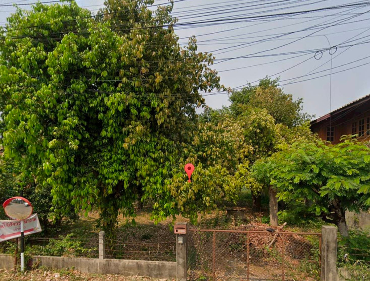 ขายที่ดินเชียงใหม่ : ที่ดินเปล่า ทำเลดี สันทรายน้อย 