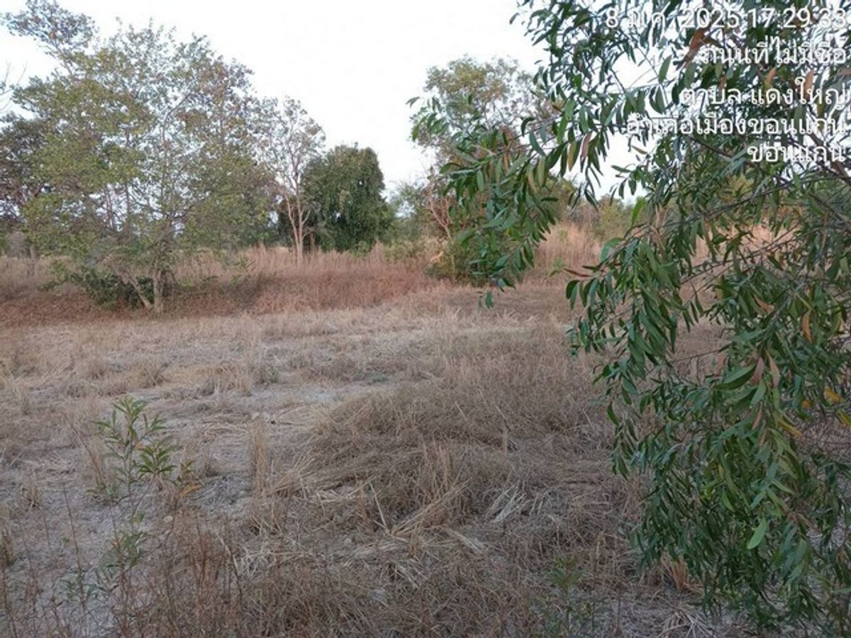 ขายที่ดินขอนแก่น : [ขาย] ที่ดิน 89 ไร่ | ตำบลศิลา เมืองขอนแก่น | ใกล้สนามบิน 5 กม. | ไร่ละ 2 ล้าน