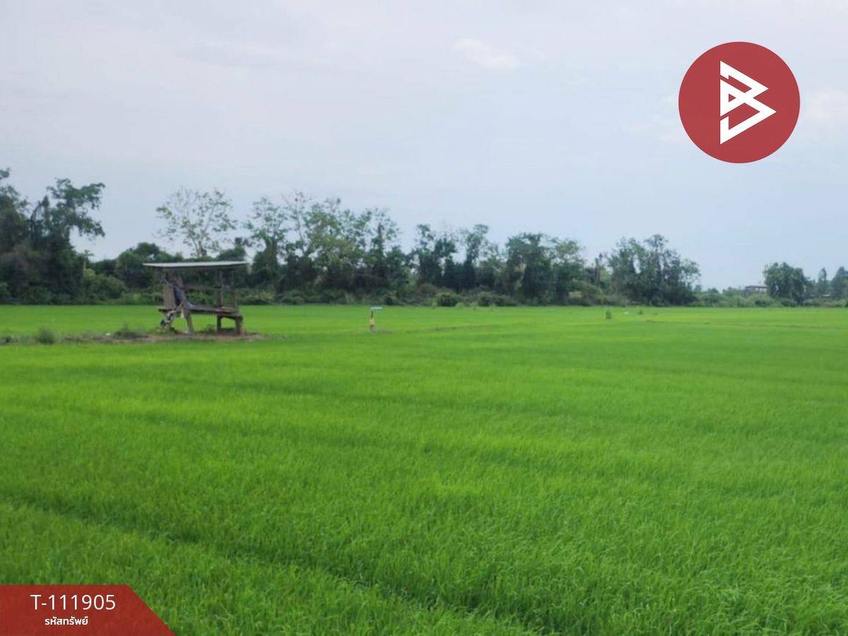 ขายที่ดินพิษณุโลก : ขายที่ดิน เนื้อที่ 10 ไร่ บางระกำ พิษณุโลก