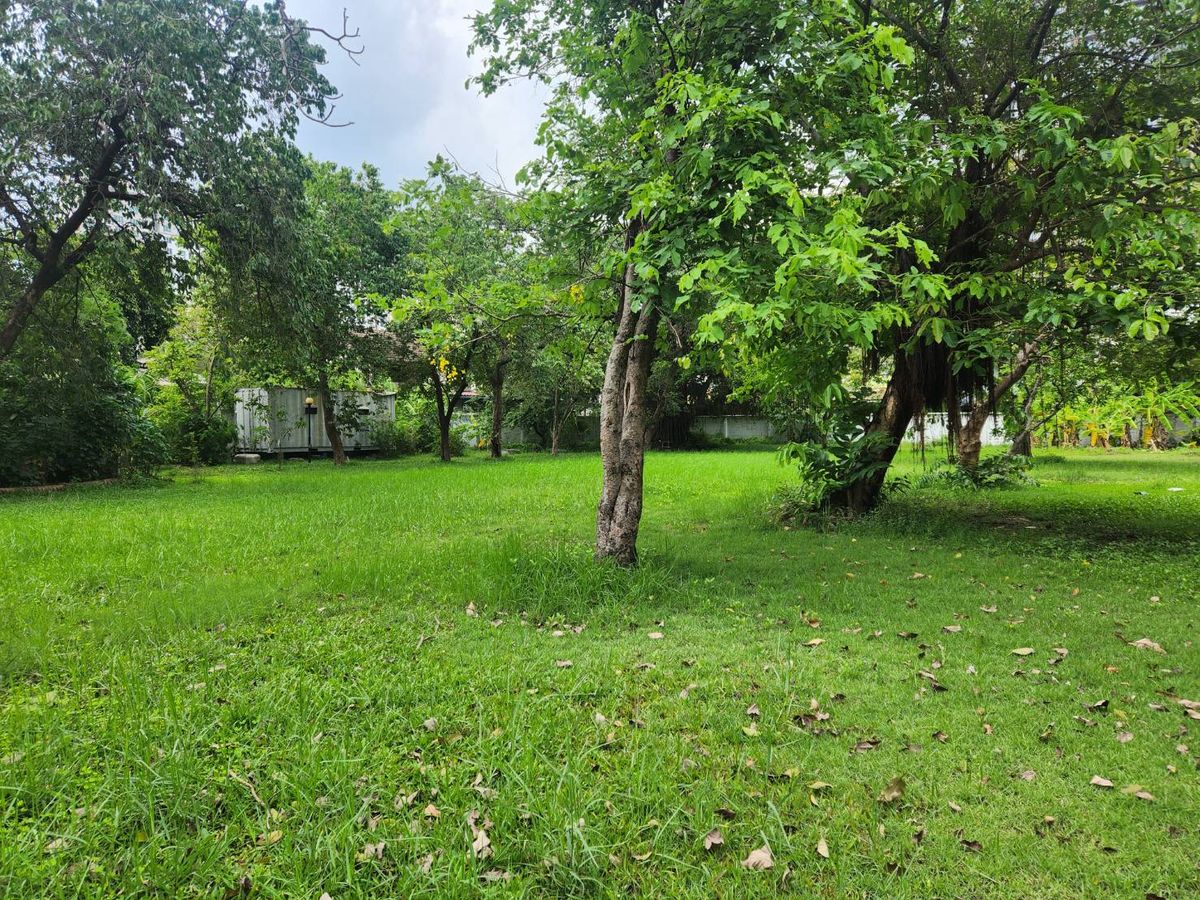 ขายที่ดินอ่อนนุช อุดมสุข : ขายที่ดินติดถนนสุขุมวิท ใกล้รถไฟฟ้าปุณณวิถี