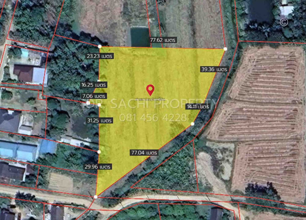 ขายที่ดินเชียงราย : ขายที่ดิน 4-2-56.9 ไร่ บ้านสันต้นธง ใกล้สามเหลี่ยมทองคำ, ดอยสะโง้ เชียงแสน จ.เชียงราย