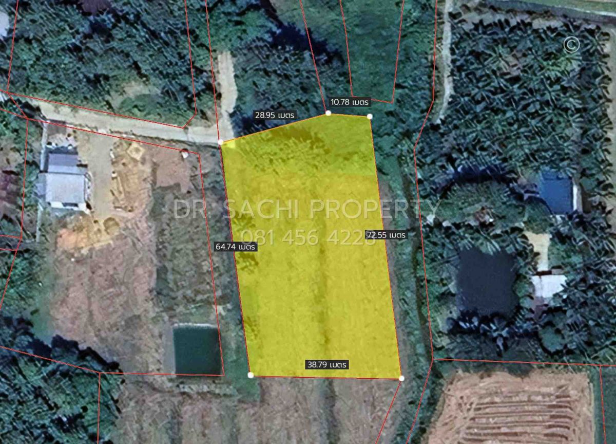 ขายที่ดินเชียงราย : ขายที่ดิน 4-2-56.9 ไร่ บ้านสันต้นธง ใกล้สามเหลี่ยมทองคำ, ดอยสะโง้ เชียงแสน จ.เชียงราย