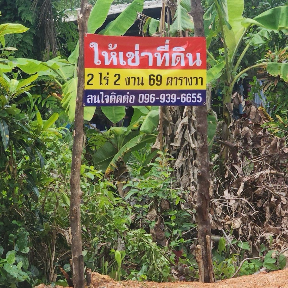 ให้เช่าที่ดินระนอง : ให้เช่าที่ 2ไร่2งาน69ตารางวา ใกล้สนามบินเมืองระนอง10นาที
