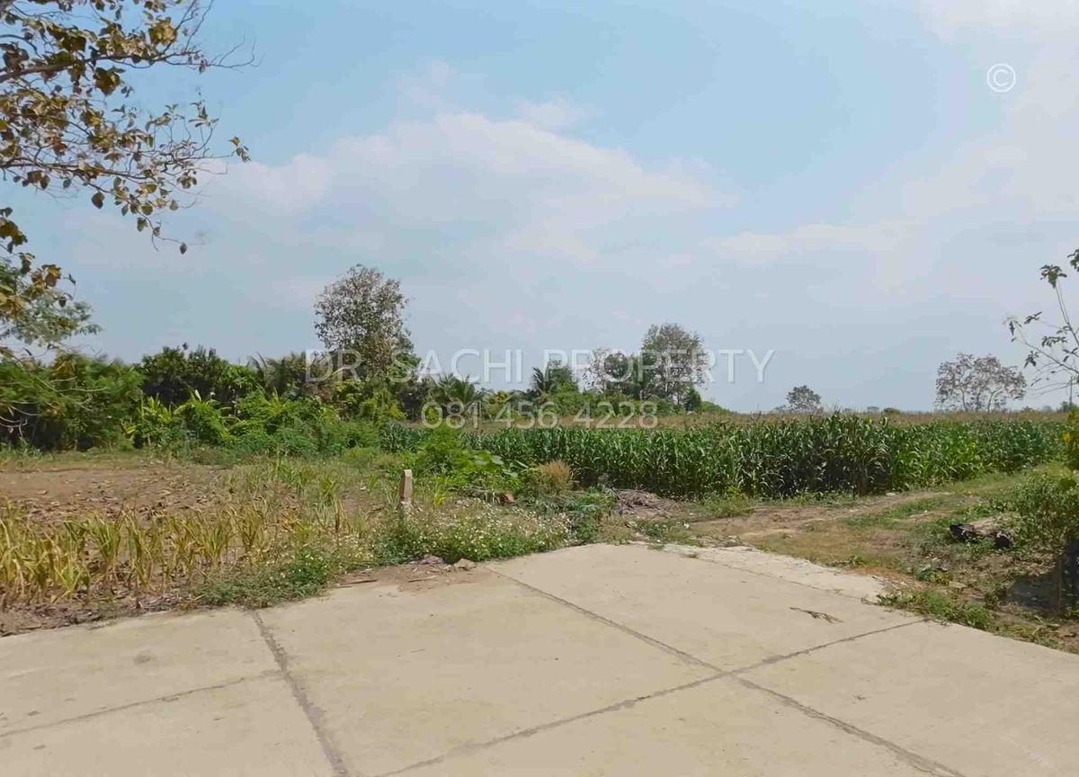 ขายที่ดินเชียงราย : ขายที่ดิน 4-2-56.9 ไร่ บ้านสันต้นธง ใกล้สามเหลี่ยมทองคำ, ดอยสะโง้ เชียงแสน จ.เชียงราย