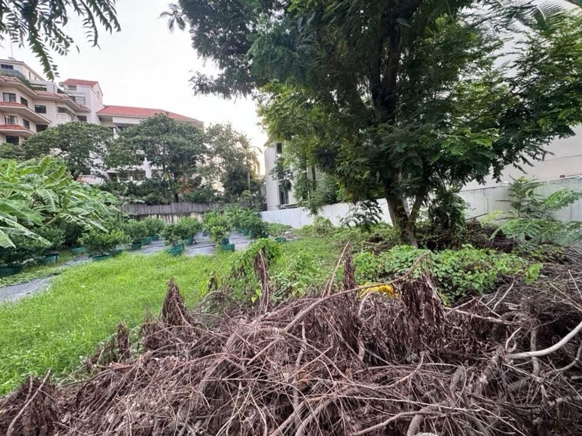 ให้เช่าร้านค้า/ตลาดนัดสุขุมวิท อโศก ทองหล่อ : ที่ดิน 204 ตารางวา (หรือ 1/2 ไร่) เอกมัย 10 สุขุมวิท 63 สำหรับ เช่าทำธุรกิจ สร้างสิ่งปลูกสร้างได้ สัญญาเช่า 3 ปี หรือ 3+3 ปี ได้ 