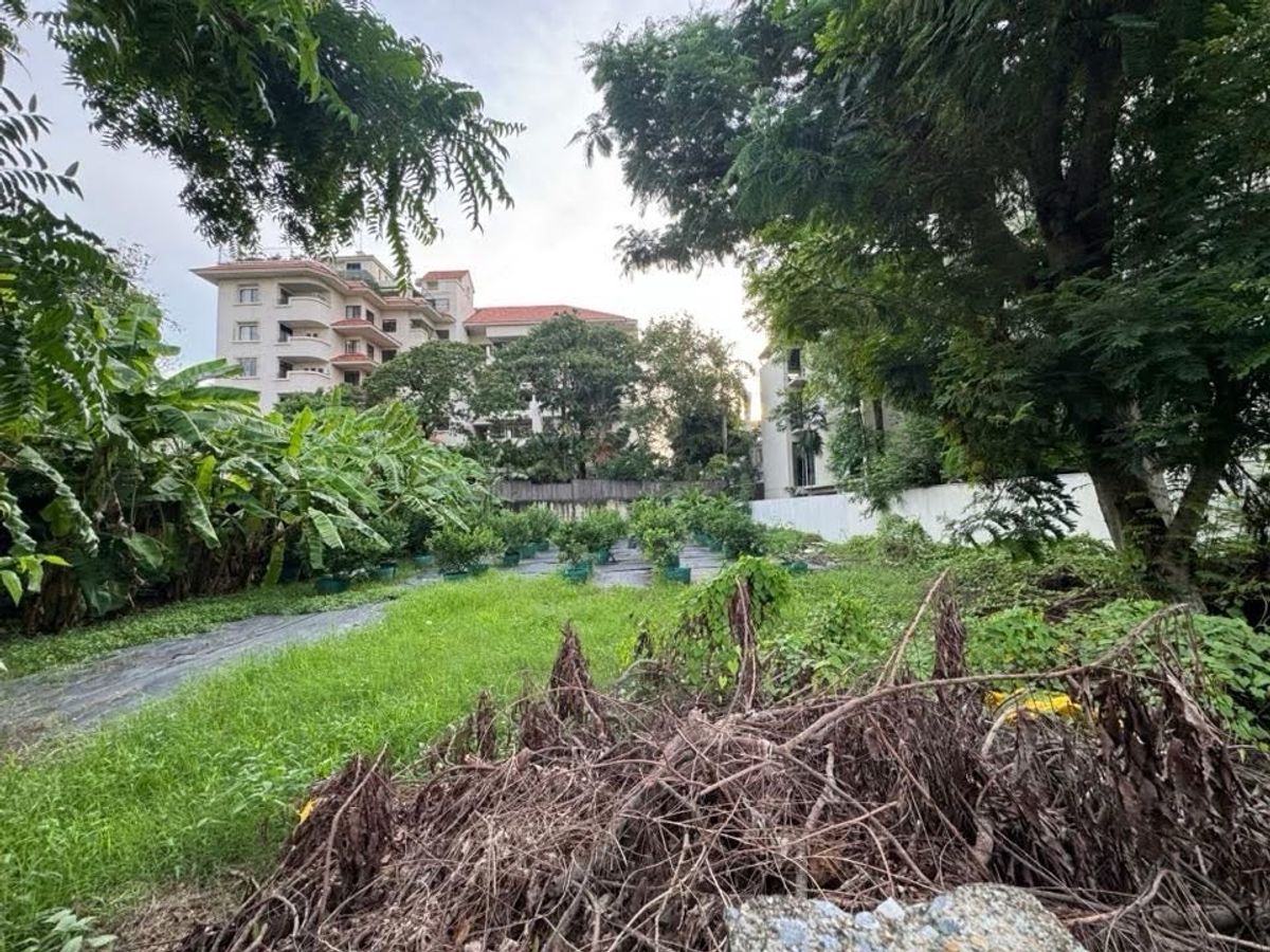 ให้เช่าร้านค้า/ตลาดนัดสุขุมวิท อโศก ทองหล่อ : ที่ดิน 204 ตารางวา (หรือ 1/2 ไร่) เอกมัย 10 สุขุมวิท 63 สำหรับ เช่าทำธุรกิจ สร้างสิ่งปลูกสร้างได้ สัญญาเช่า 3 ปี หรือ 3+3 ปี ได้ 