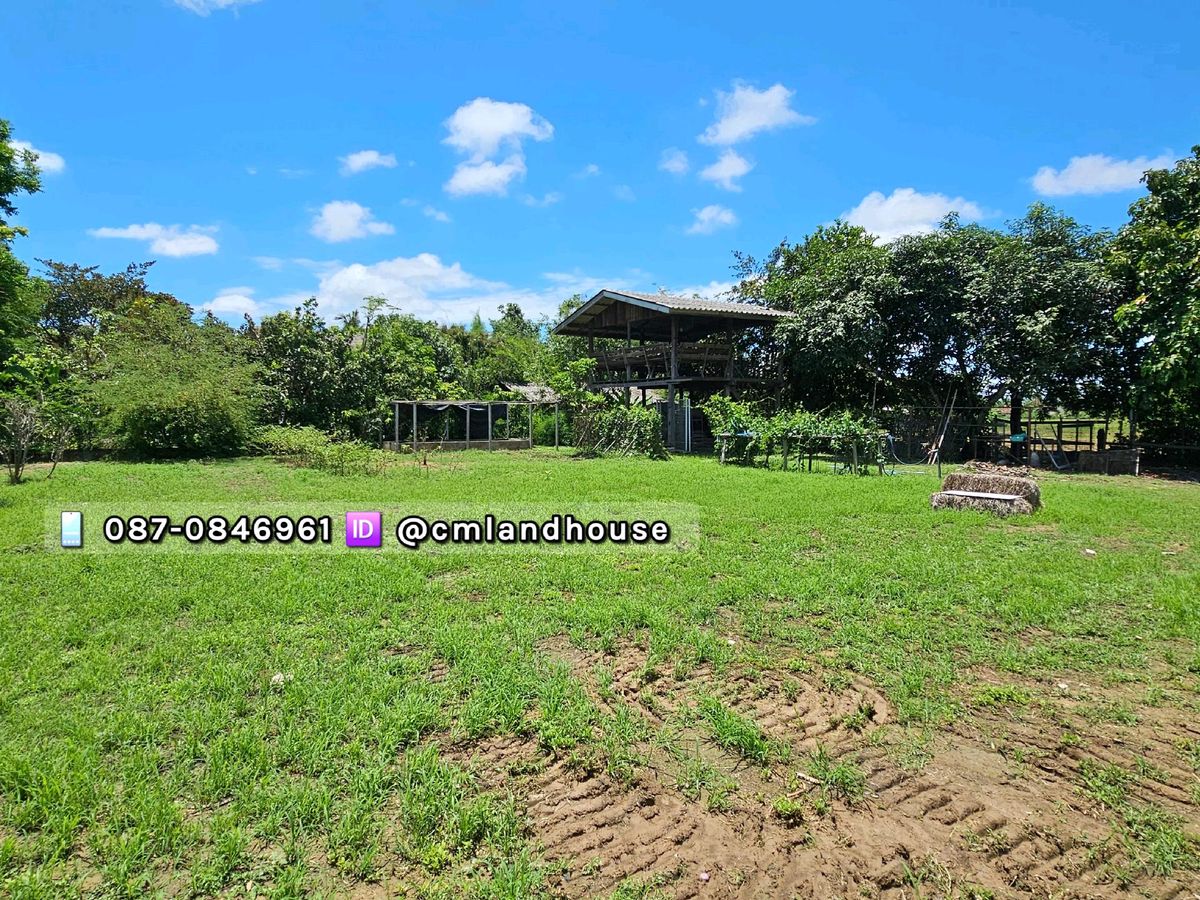 For SaleHouseChiang Mai : Wooden house, vegetable garden, 1-0-15 rai, near the city, 18 km. Doi Saket, next to the community road.